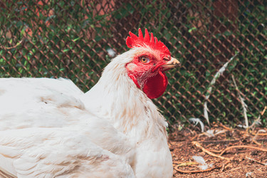 Similar image 21824938