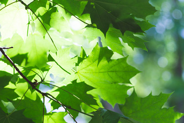 Similar image 21824939