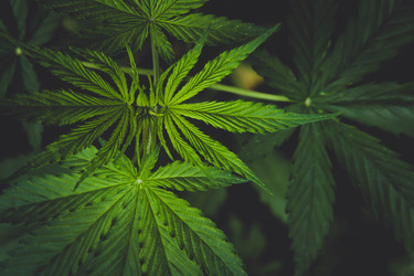 Similar image 21824940