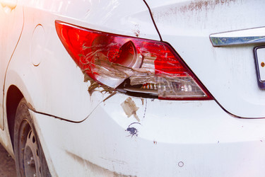 Similar image 21824941