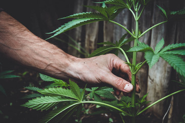 Similar image 21824942