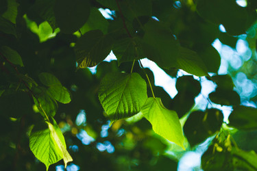 Similar image 21824952