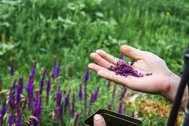 Similar image 21824954