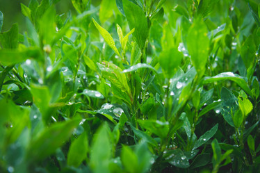 Similar image 21824958