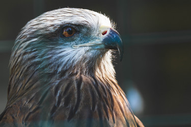 Similar image 21824961