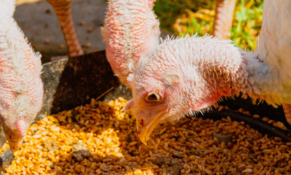 Similar image 21825077