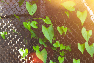 Similar image 21825141