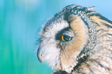 Similar image 21824398