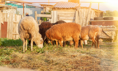 Similar image 21824405