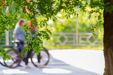 Similar image 21824480