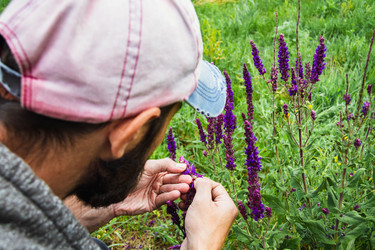 Similar image 21824489