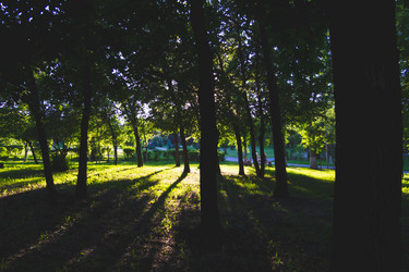 Similar image 21824491