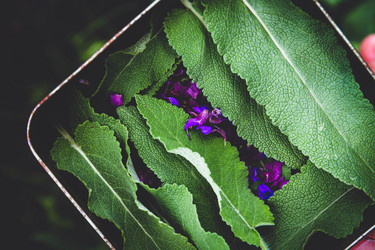 Similar image 21824503