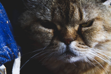 Similar image 21824504