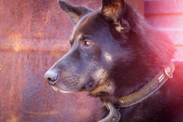 Similar image 21824511