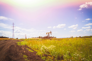 Similar image 21824517