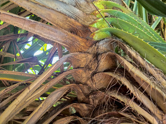 Similar image 21822073