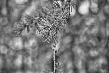 Similar image 21822075