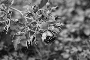 Similar image 21822076