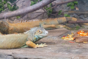 Similar image 21824521