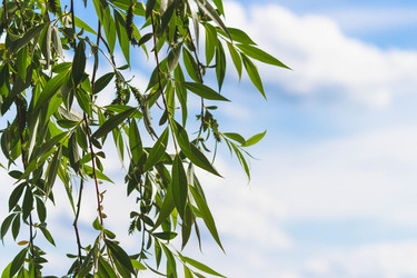 Similar image 21824523