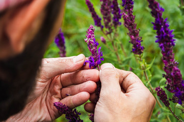 Similar image 21824533