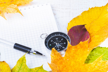 Similar image 21824534