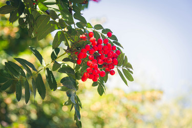 Similar image 21824539