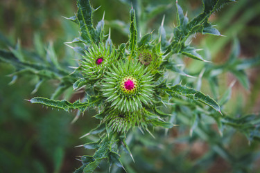 Similar image 21824546