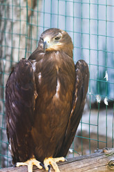 Similar image 21824547