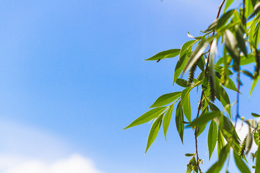 Similar image 21824550