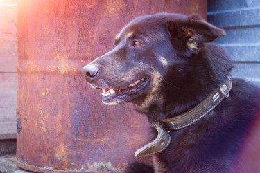 Similar image 21824974