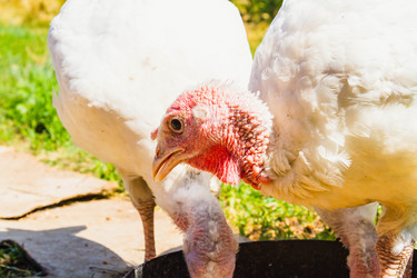 Similar image 21824979