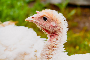 Similar image 21824980