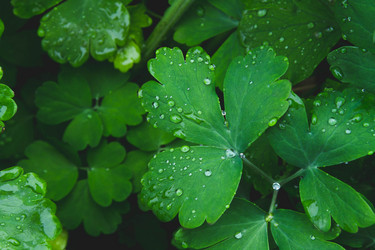 Similar image 21824981