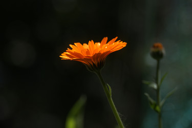 Similar image 21818175