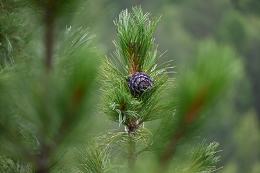 Similar image 21818178