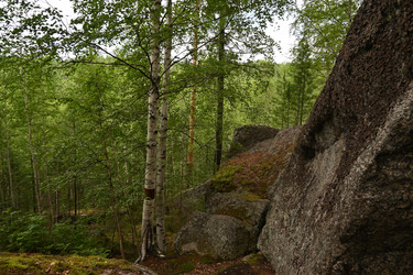 Similar image 21818179