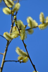 Similar image 21818180