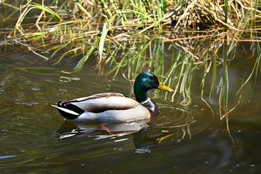 Similar image 21818181