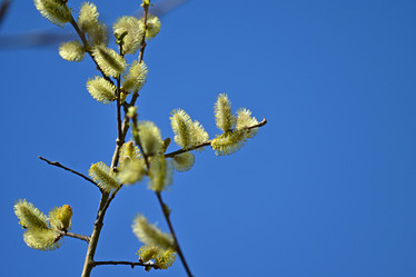 Similar image 21818183