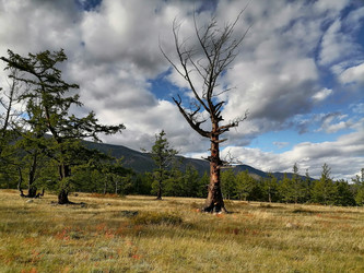 Similar image 21818185