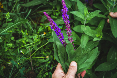 Similar image 21825147