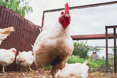 Similar image 21822552