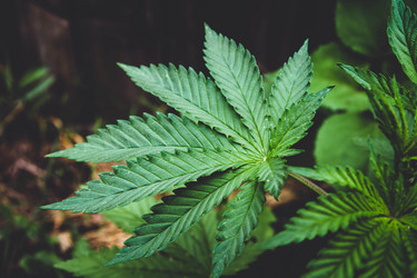 Similar image 21822553