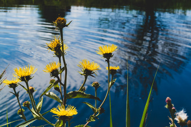 Similar image 21822555