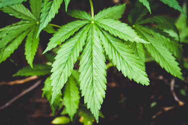 Similar image 21823875