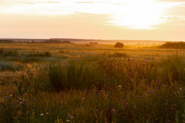 Similar image 21823877