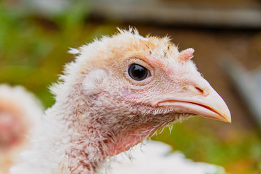 Similar image 21823880