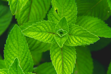 Similar image 21824409